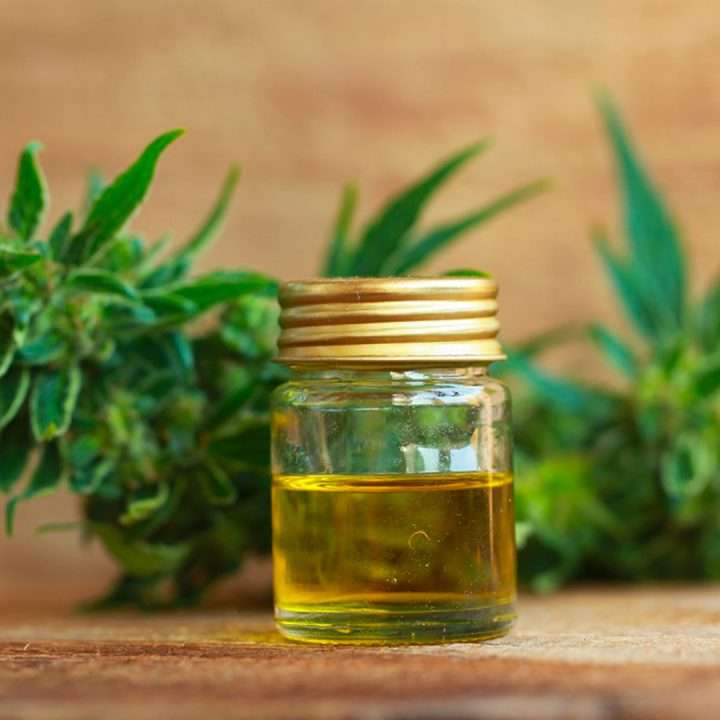 Differenza Olio di canapa, olio CBD, Cannabis Oil